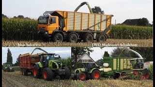 Mais oogst 2020  Harvest  JWD Markvoort Schalkhaar  Tatra Truck  Claas  Krone  Schuitemaker [upl. by Rhys645]