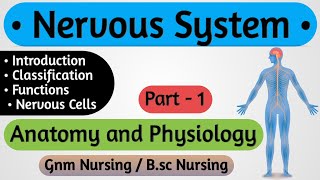 Nervous System  Nervous System Anatomy and Physiology  Anatomy and Physiology For Nursing [upl. by Ahsital]