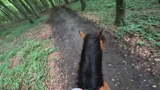 I TOOK THE BRIDLE OFF MID RIDE🫣👀 helmet cam [upl. by Siskind]