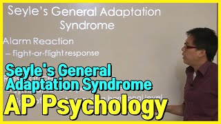 Seyles General Adaptation Syndrome AP Psychology [upl. by Tnecniv234]