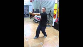 Wing Chun Yui Choi Yui Kays Wing Chun of Foshan  Biu Tze quotbyoocheequot tao [upl. by Elenaj632]