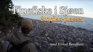 Fluefiske i sjøen Episode 2  2018 Storfiskplasser Med Fluefiskern Eivind Berulfsen [upl. by Llehsor134]