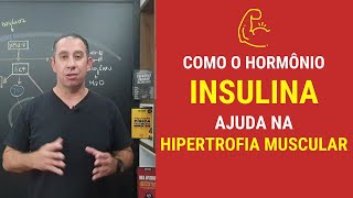 Como o Hormônio Insulina ajuda na Hipertrofia Muscular [upl. by Schonfield]