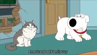 Family Guy  Brian Behaving Like a Dog [upl. by Fiedler697]