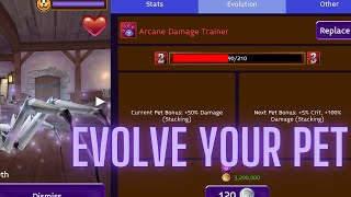 Arcane Legends  NEW FEATURE PET EVOLUTION [upl. by Ruhtra]