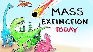 Mass Extinction Crisis TODAY [upl. by Atinna]