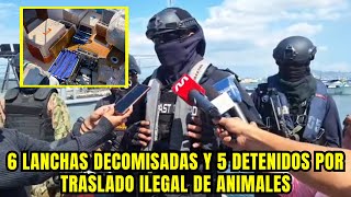 6 lanchas decomisadas y 5 detenidos por traslado Ilegal de animales de Manta a Galápagos [upl. by Tiffie15]