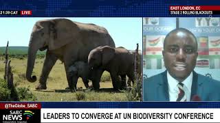 Previewing the upcoming UN Biodiversity Conference Osiphesona Ngcanga [upl. by Salisbury]