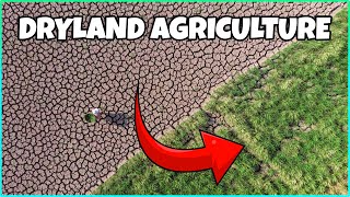 Dryland Agriculture How to do Farming with Less Water [upl. by Atinihc]