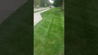 Ariens Ikon X52 zero turn mower cutstripe 2 of 2 [upl. by Isbel906]