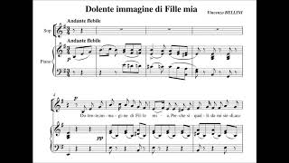 Dolente immagine di Fille mia Bellini  Piano accompanimentkaraoke [upl. by Alphard]