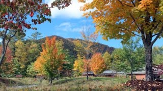 Pisgah National Forest  North Carolina [upl. by Renaxela]