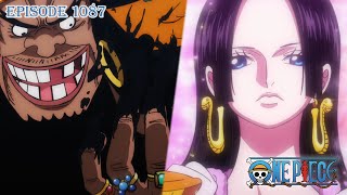 One Piece Episode 1087 Explained  Blackbeard Arrives at Amazon Lily  Boa Hancock  Koby [upl. by Bigg]