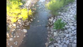 Wildhorse Creek Tatums Oklahoma [upl. by Einamrej272]