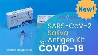 How to Use Saliva Antigen Test Kit for COVID19 within ONLY 12 mins [upl. by Aicrag689]