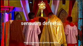 Tantum Ero Sacramentum Benediction Vigil of Pentecost  St Patricks Cathedral Karachi Pakistan [upl. by Stinson]