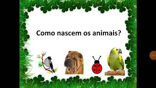 Como nascem os animais [upl. by Nileuqaj]