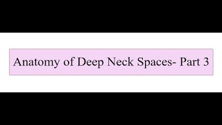 Anatomy of Deep Neck Spaces  Part 3 [upl. by Kyre]