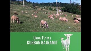 URIME FESTA E KURBAN BAJRAMIT 2023  Fshati Sllovi [upl. by Padraig]