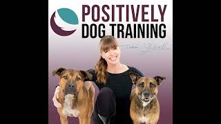 Enriching Our Dog’s Lives with Steve Dale [upl. by Ayanaj540]