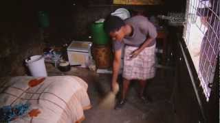 ZIMBABWE 10 Most Amazing African Dance Moves [upl. by Yelnikcm893]