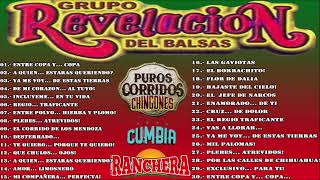 Grupo Revelación del Balsas  Puros Corridos Y Cumbias Chiongones Mix 2020 [upl. by Maxine]