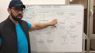 Pentose Phosphate Pathway 2 [upl. by Rica]