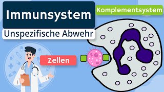 Unspezifische Immunabwehr Zellen Komplementsystem  Immunsystem einfach erklärt [upl. by Kain]