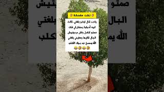 عطيني بلغتي 😂😂😅🤣🤣😁 تحدي 2024 مدينة مغربية اليوم 5 شتنبر 2024 [upl. by Eiruam64]