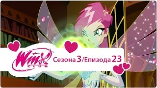 Winx Club na Srpskom  Sezona 3 Epizoda 23 Čarobnjakov Izazov [upl. by Durstin]