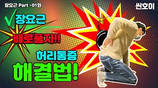 허리통증 허리만 풀지 마세요 큰일납니다 l 허리통증 없애는 방법  원인부터 l 장요근 iliopsoas 01화 씬호이 [upl. by Lua332]