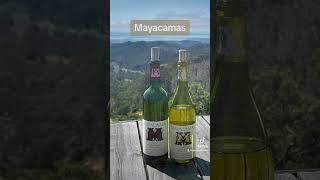 Mayacamas Vineyards [upl. by Enileuqcaj]