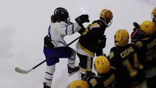 Steveston Meltdown  Fraser Valley Wolves vs New Western Bruins 2023 [upl. by Eremehc569]