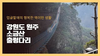 강원도 원주 소금산 출렁다리 [upl. by Goldy]