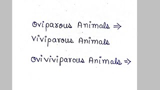 oviparous animals  viviparous animals  ovoviviparous animals [upl. by Alegnaed]