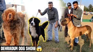 Biggest Dog Show in Uttarakhand  Dehradun Dog Show 2023😱 [upl. by Skinner]