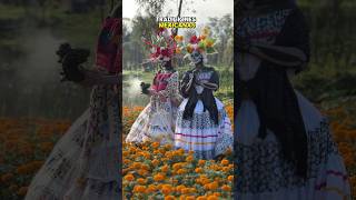 Xochimilco adondeir diademuertos pandulce cafe cafedeolla amanecer tamales planfamiliar [upl. by Vania340]