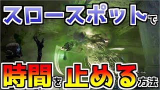 スロースポットで時間を止める留める方法 DDDA Dragons Dogma Dark Arisen [upl. by Therese802]