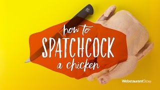 How To Spatchcock a Chicken [upl. by Arik]