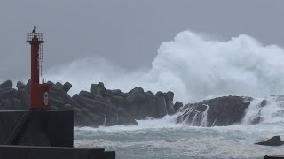 Typhoon Halong Huge Waves Flooding 4K Stock Footage Screener [upl. by Angelia]