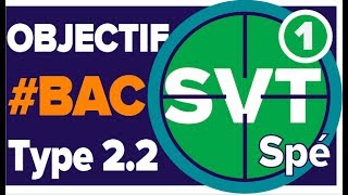 Climat Bac S SVT Métropole 2017  Type 22 Spécialité  Mathrix [upl. by Tega275]