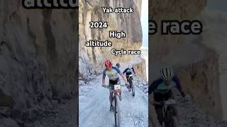 Yak attack high altitude Nepal 🇳🇵yakattack cyclerace travel shortsfeed youtubeshorts [upl. by Dedra]