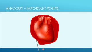 4 Pericardiocentesis  Anatomy [upl. by Frances]