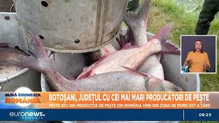 Botoșani județul cu cei mai mari producători de pește 35 din producția țării vine din nordest [upl. by Ringsmuth300]