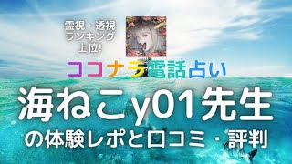 【霊視・透視上位】ココナラ電話占いの海ねこy01先生の体験レポと口コミ・評判 [upl. by Phaih]