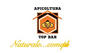 Apicoltura Top Bar come controllare un’arnia Warrè [upl. by Jean]