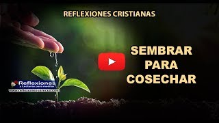 Sembrar para cosechar  Reflexiones cristianas [upl. by Huai]