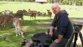 Freilaufende Tiere im Wildpark  Blende 8  Folge 98 [upl. by Allyn348]