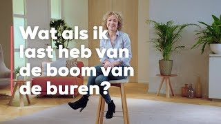 Wat als ik last heb van overhangende takken van de buren [upl. by Lonee]