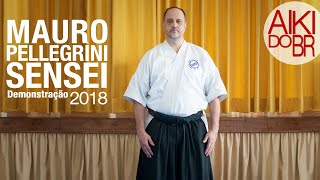 AIKIDO SIAF · Mauro Pellegrini [upl. by Atteuqcaj]